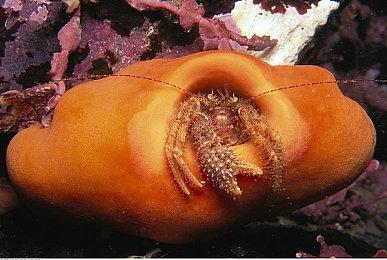 超45%的国外玩家认为微软收购动视暴雪对游戏行业和玩家有利