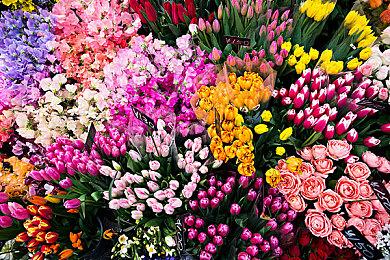 育碧封杀日本历史学家 因其大骂《刺客信条：影》弥助