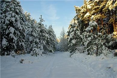 《GTA6》新泄露视频 网传游戏主角有鹰眼能力